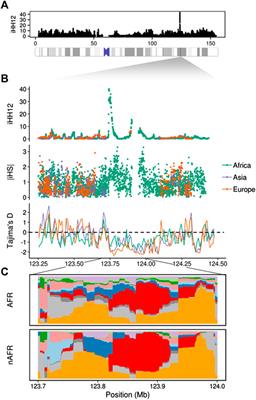 Chromosome X-wide Analysis of Positive Selection in Human Populations: Common and Private Signals of Selection and its Impact on Inactivated Genes and Enhancers